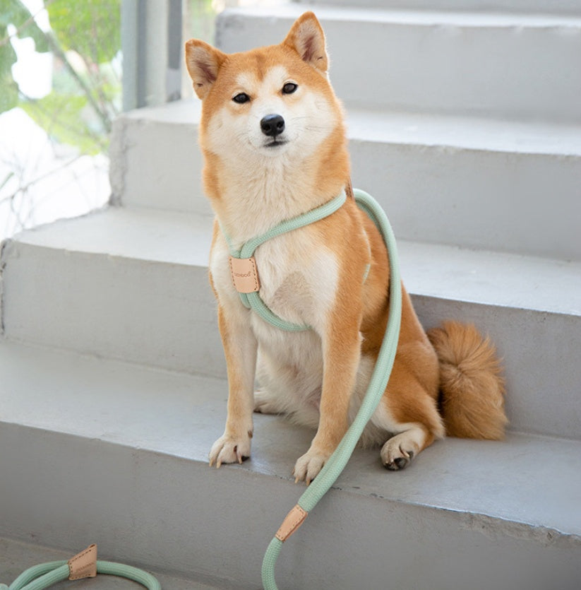 Dual-Purpose Pet Round Rope Leash Integrated Design
