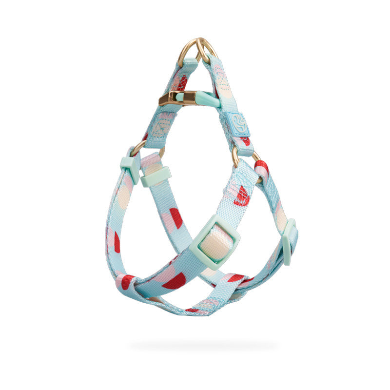 Fashion Y-Shaped Pet Chest Strap Leash for Dogs