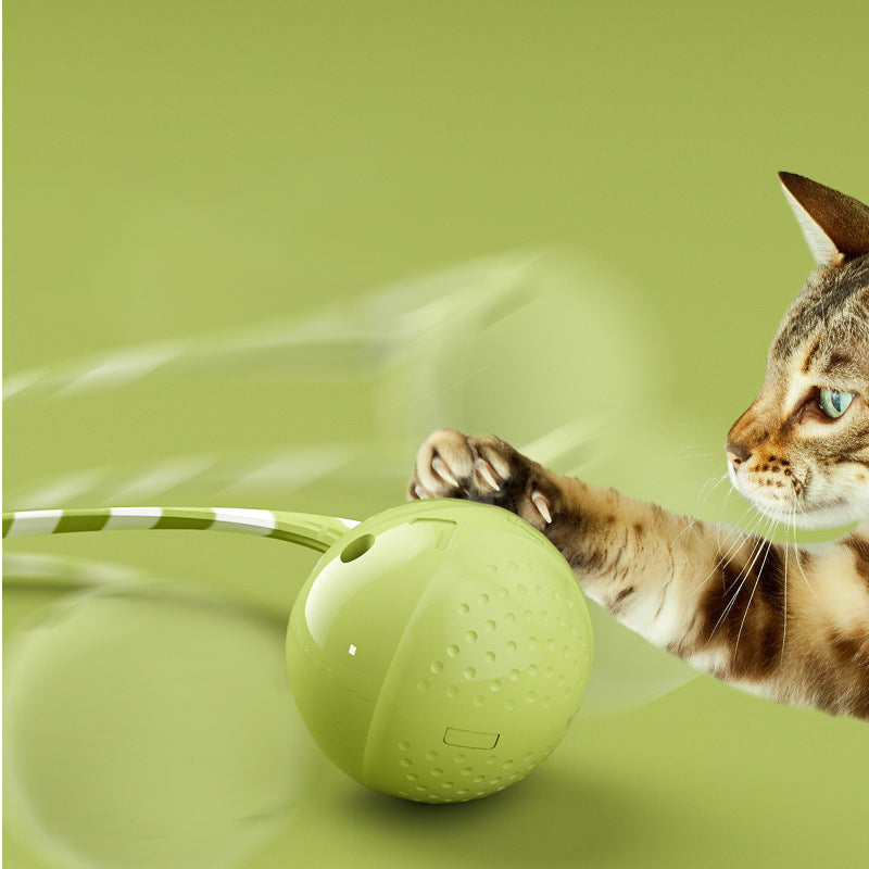 Interactive Pet Ball Toy Electric Motion Activated Touch Sensor Accessory